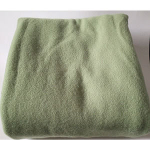 Pendleton Green Blanket